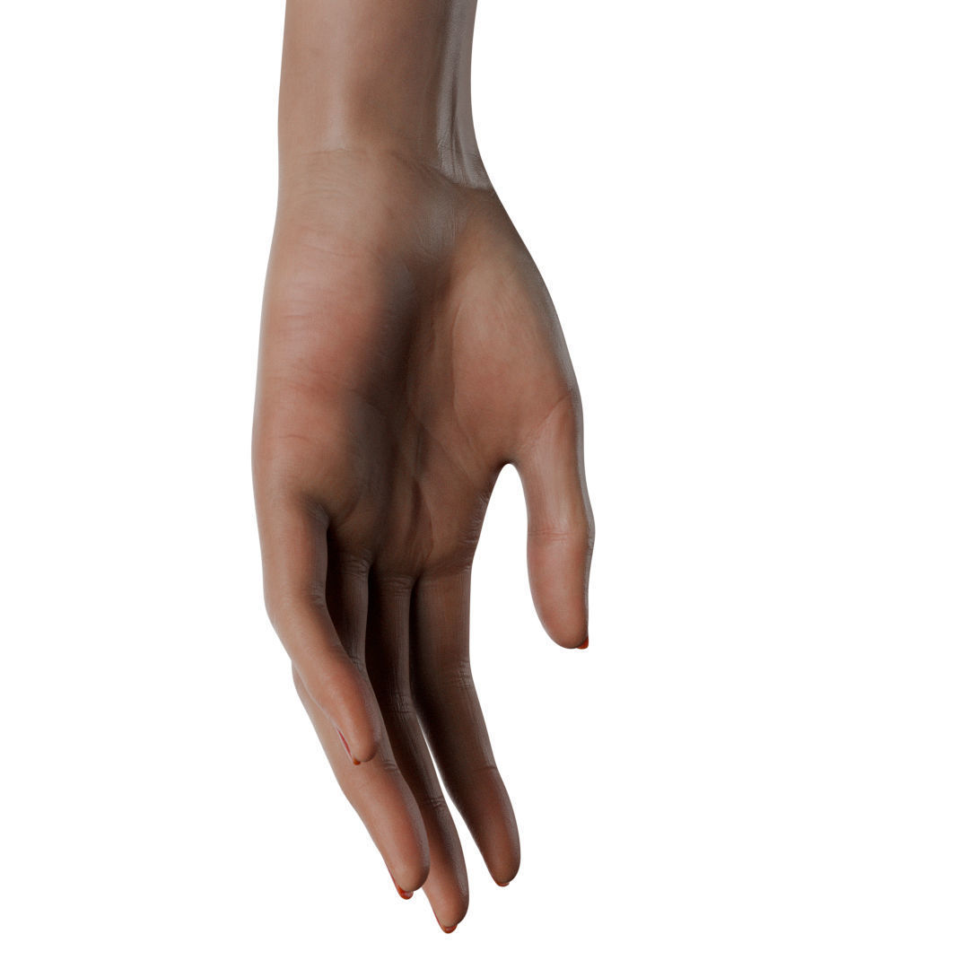Female Hand Low-poly 3D model_36