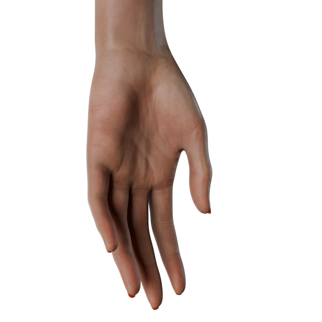 Female Hand Low-poly 3D model_35