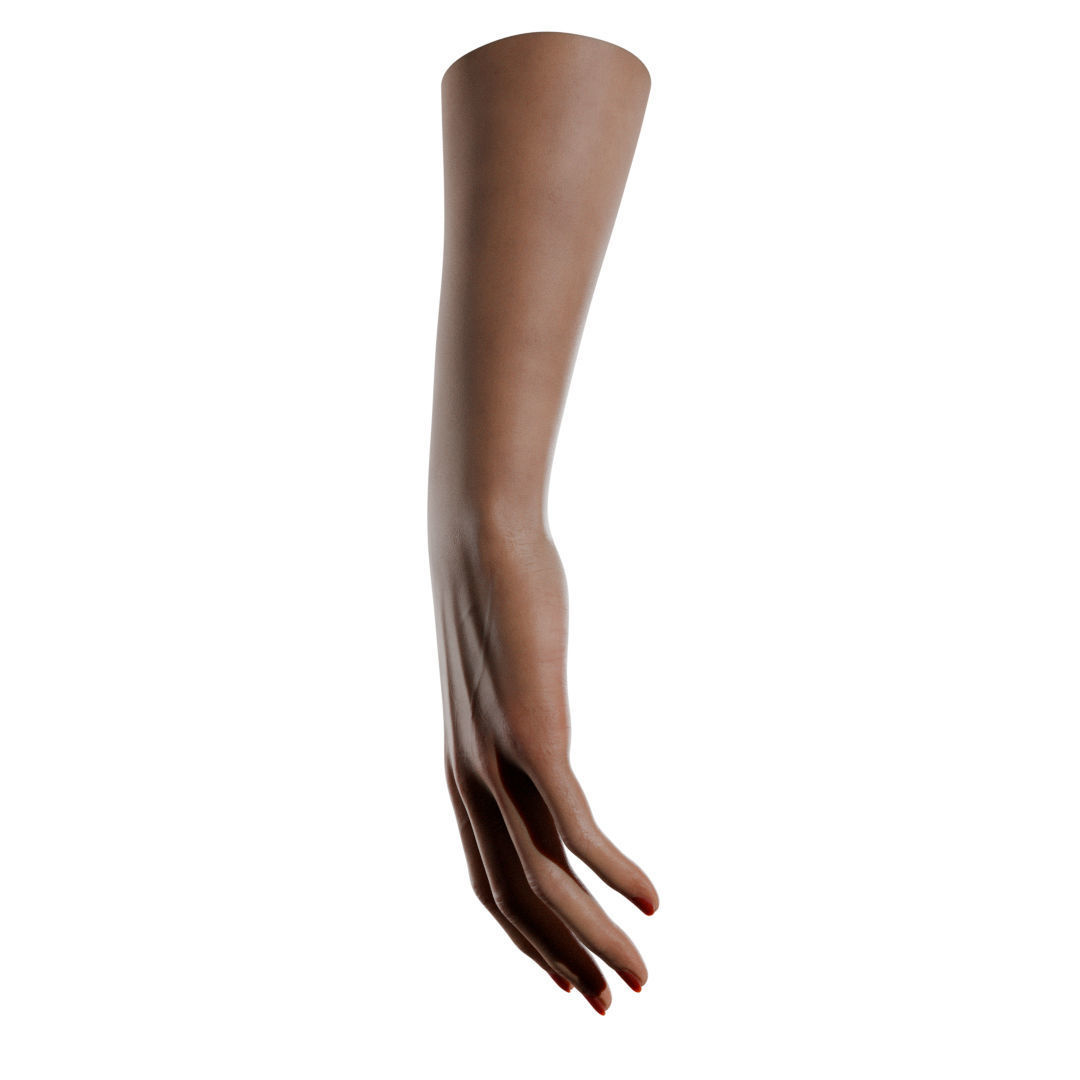 Female Hand Low-poly 3D model_17