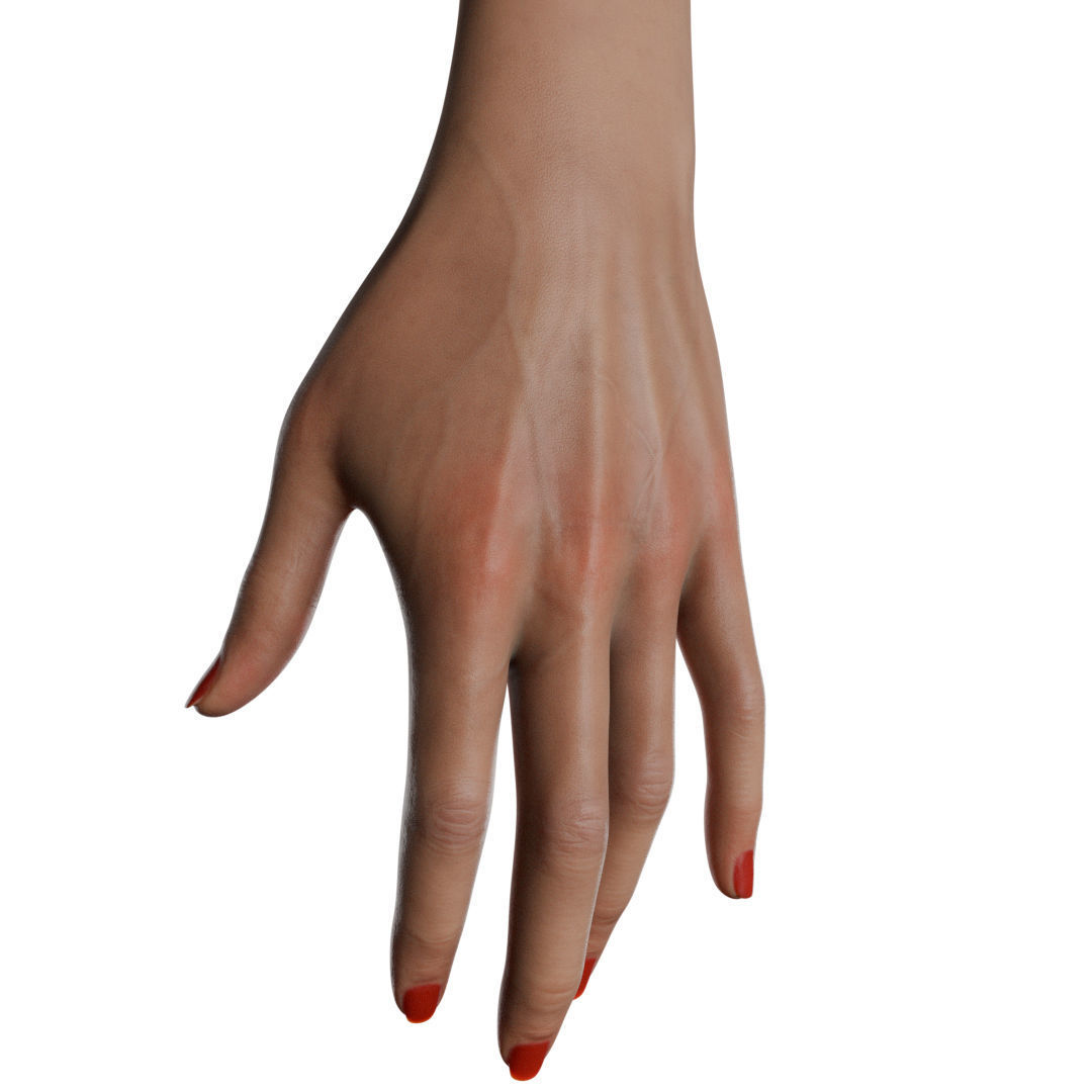 Female Hand Low-poly 3D model_9