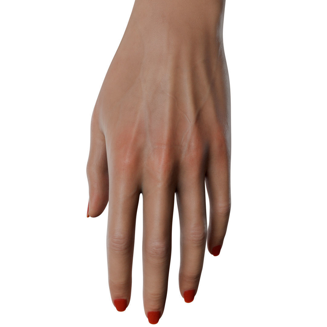Female Hand Low-poly 3D model_24