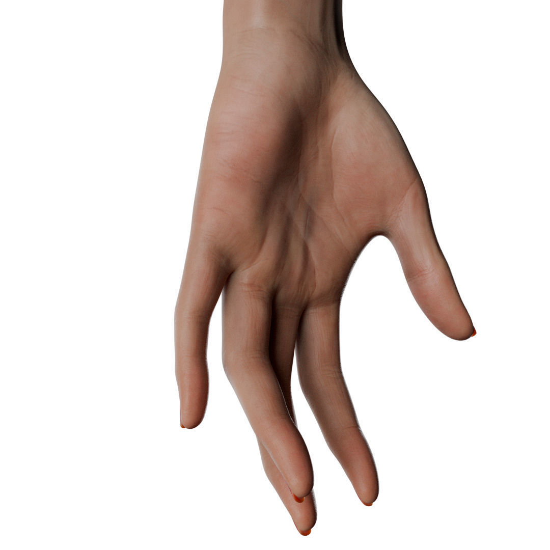 Female Hand Low-poly 3D model_10