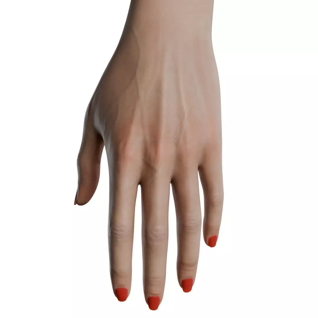 Female Hand Low-poly 3D model_0