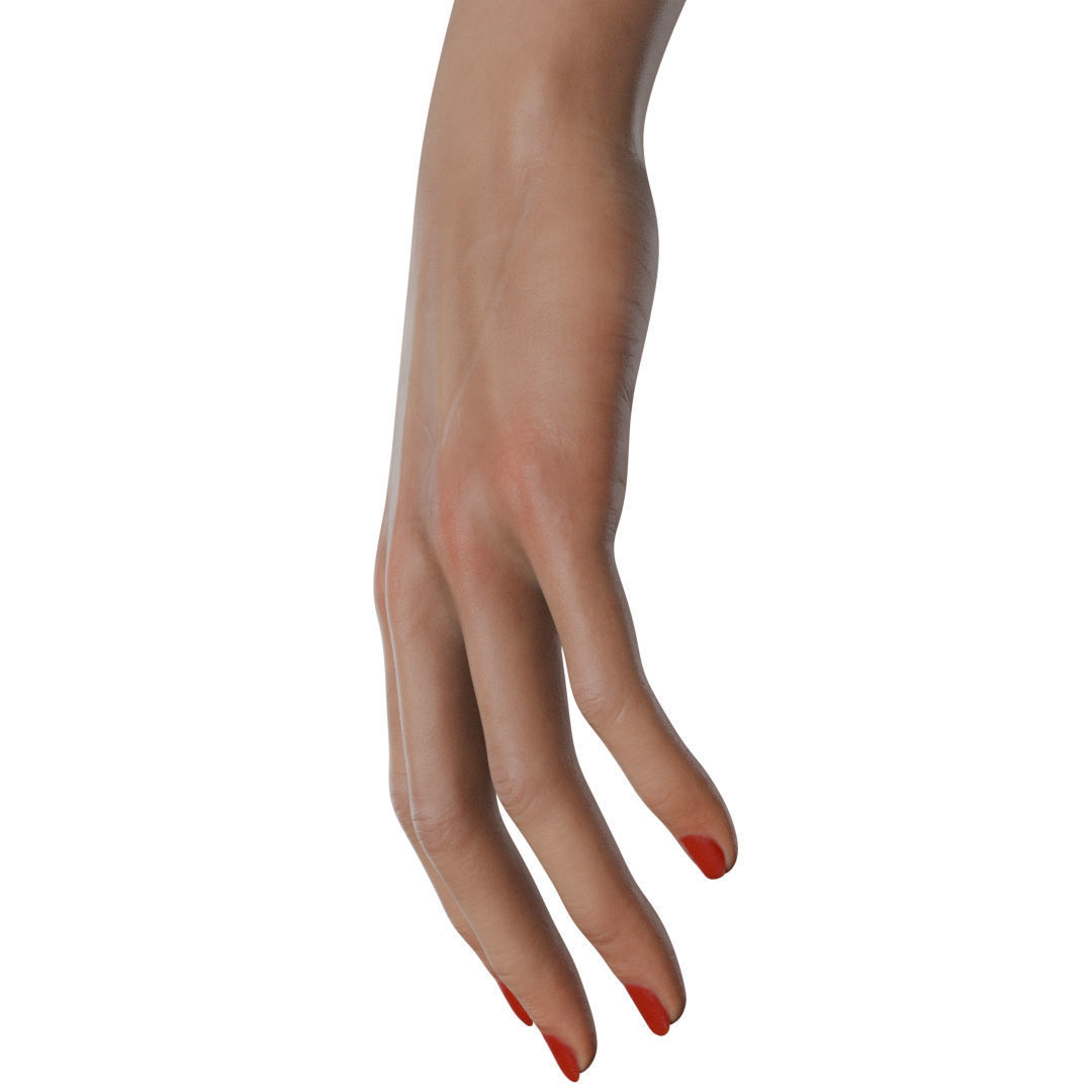 Female Hand Low-poly 3D model_40