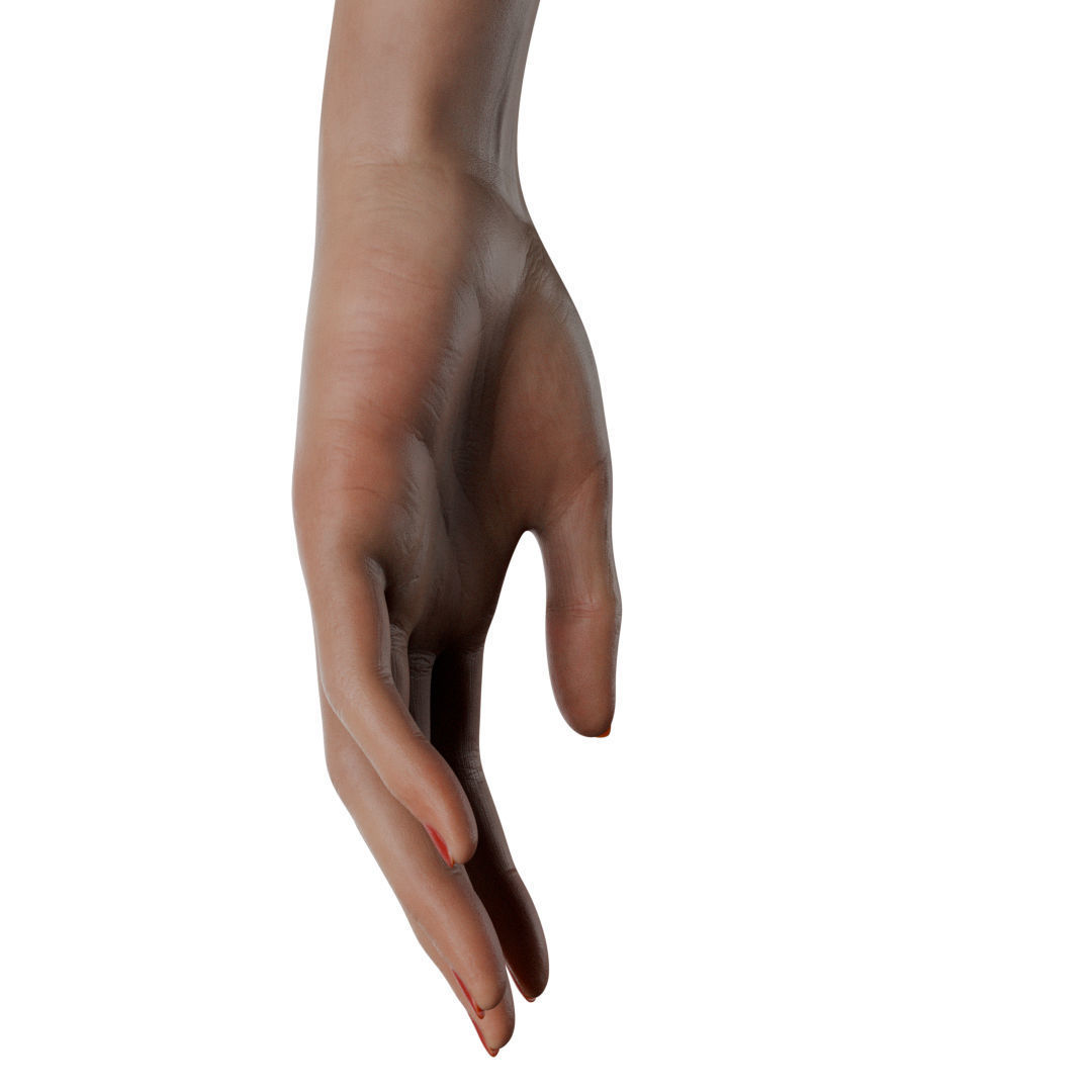 Female Hand Low-poly 3D model_37