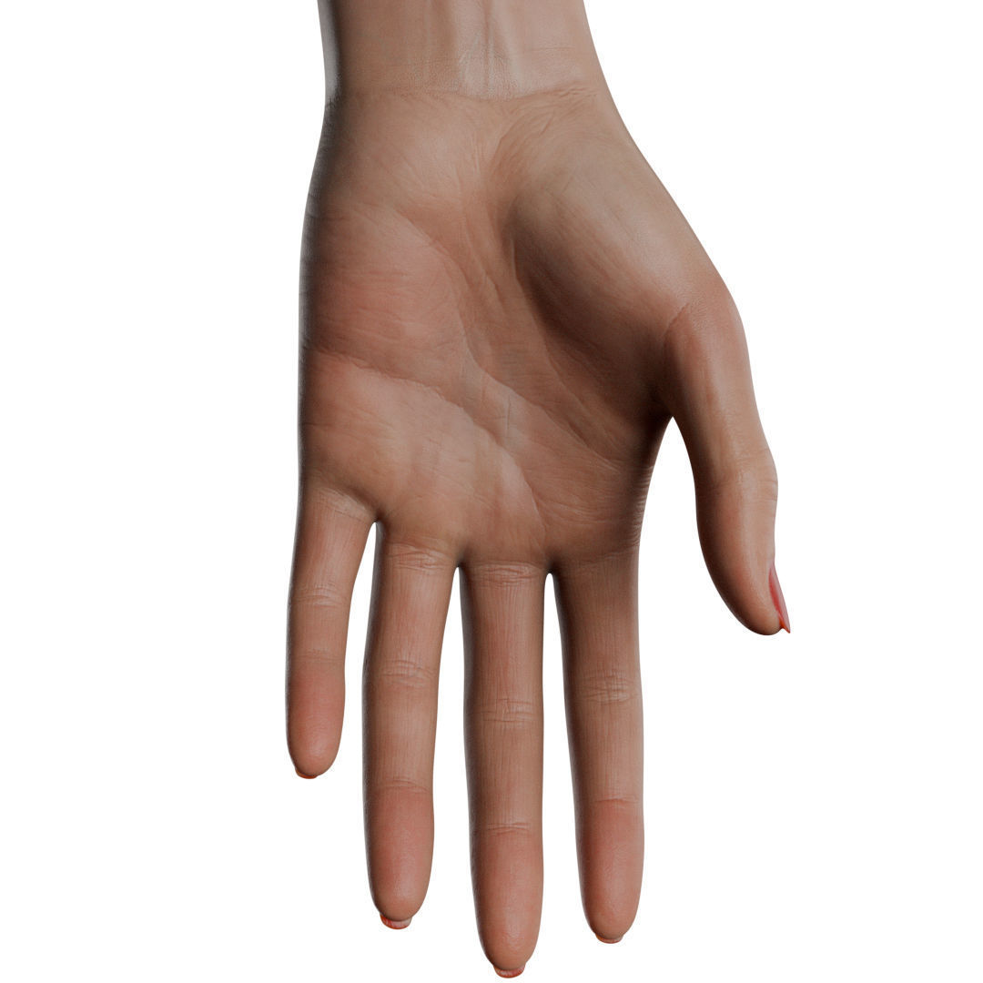 Female Hand Low-poly 3D model_1