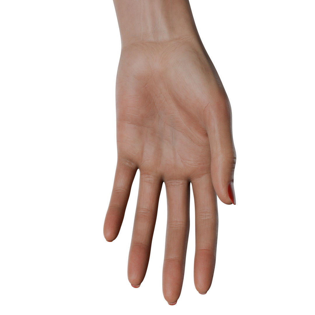 Female Hand Low-poly 3D model_32