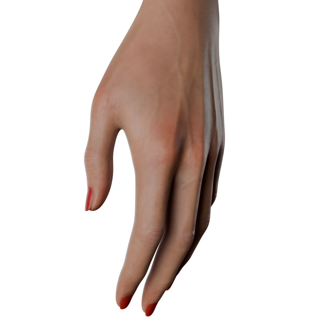 Female Hand Low-poly 3D model_26