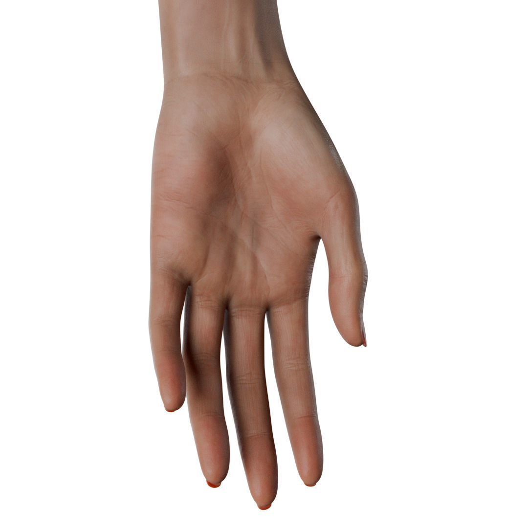 Female Hand Low-poly 3D model_34