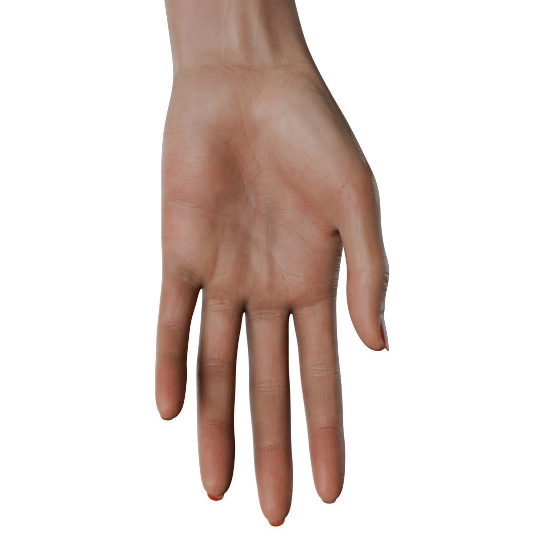 Female Hand Low-poly 3D model_33
