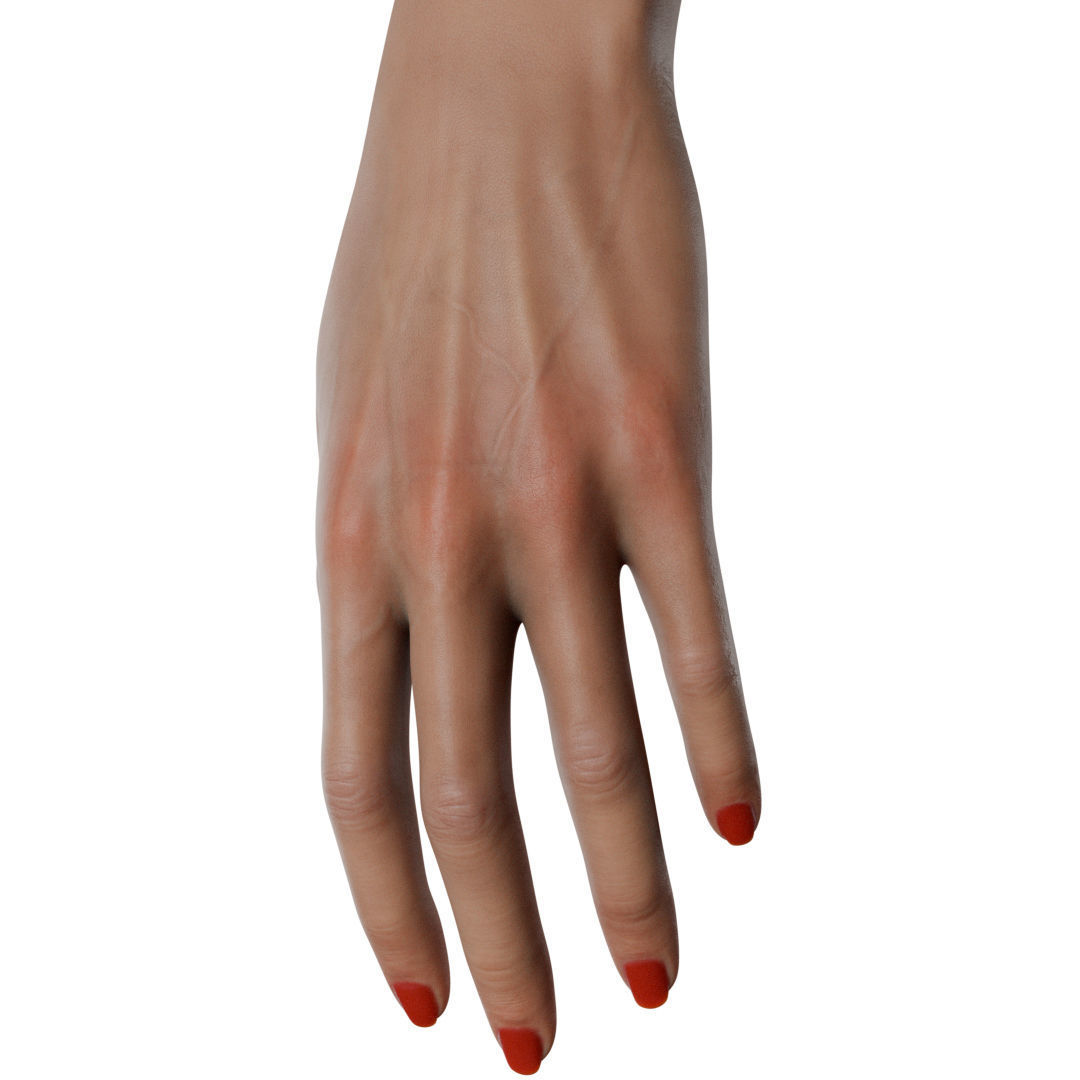 Female Hand Low-poly 3D model_42