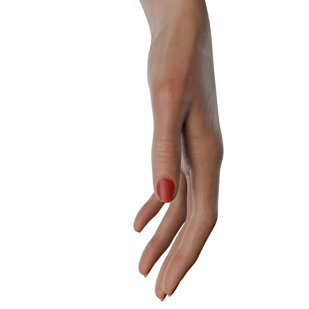 Female Hand Low-poly 3D model_29