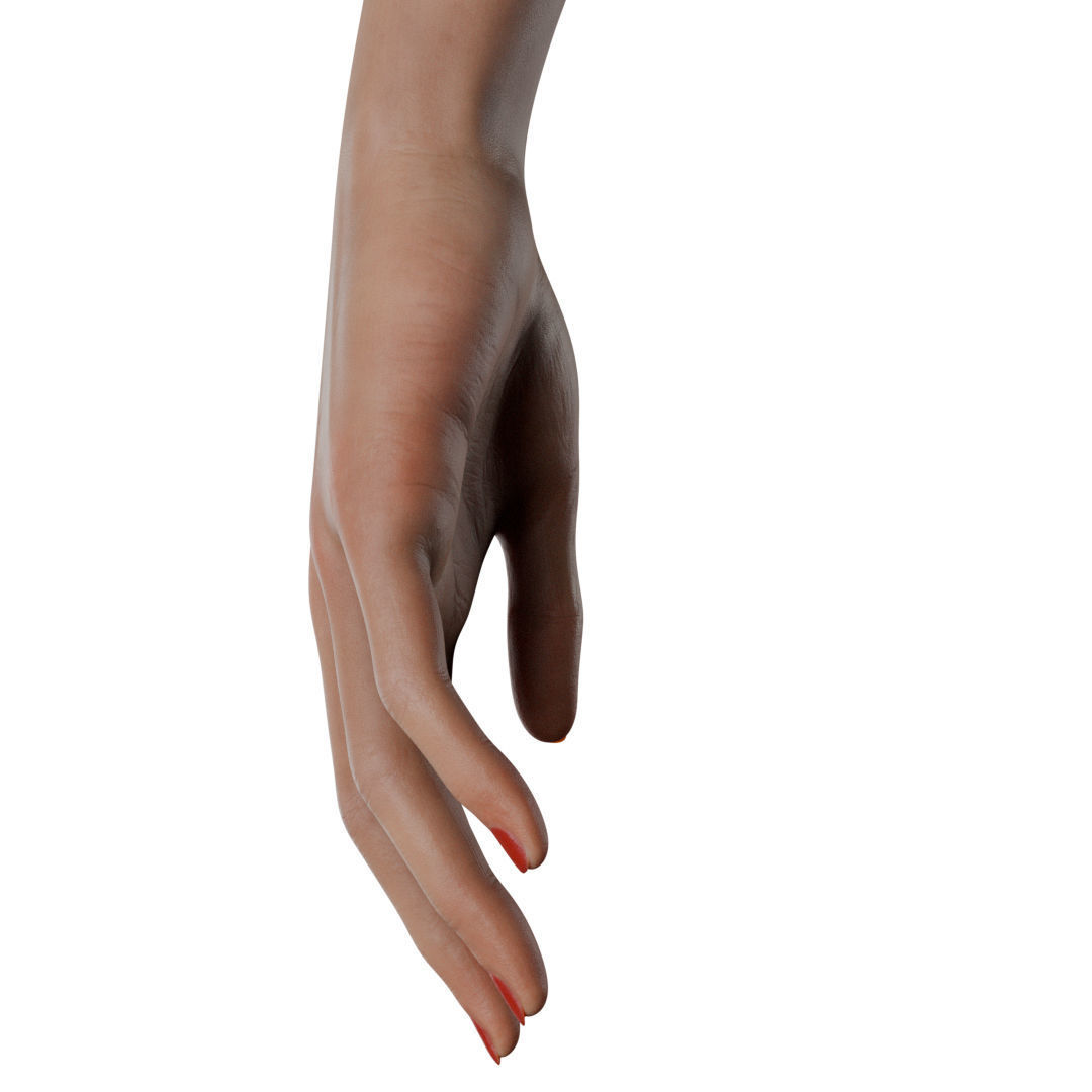 Female Hand Low-poly 3D model_38