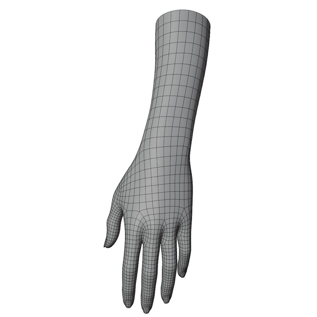 Female Hand Low-poly 3D model_12