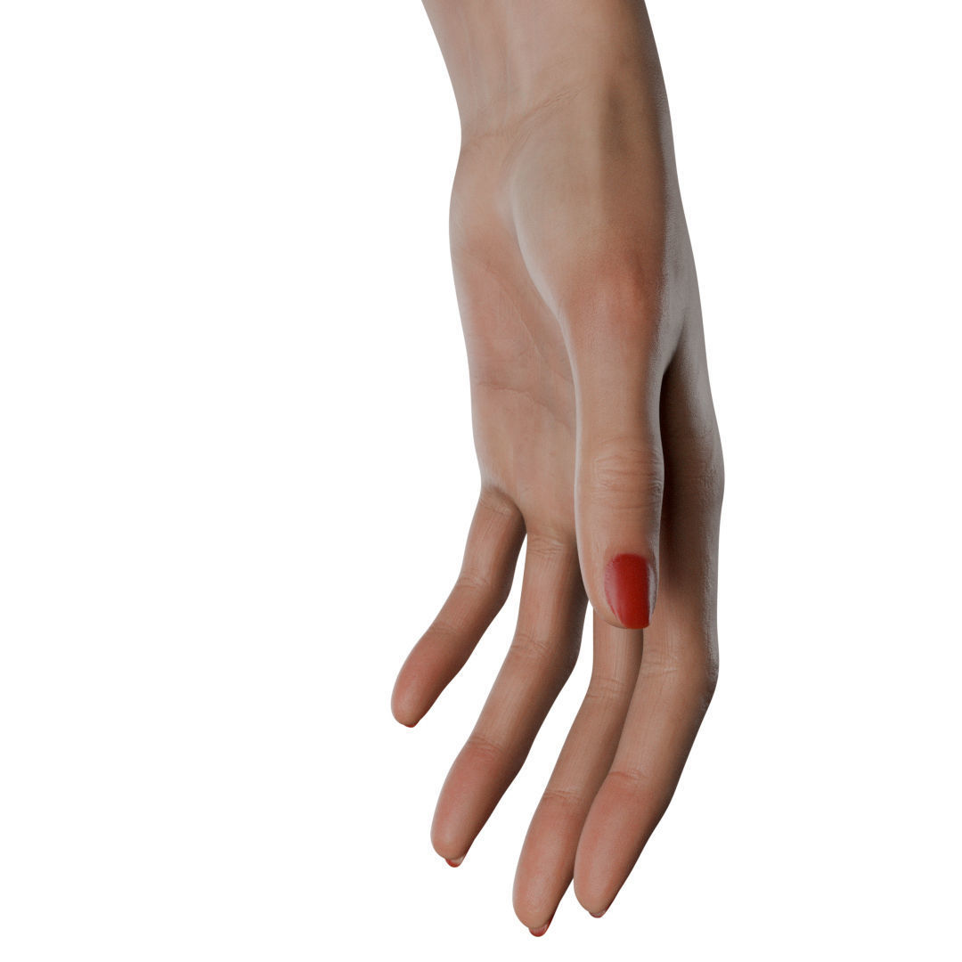 Female Hand Low-poly 3D model_30
