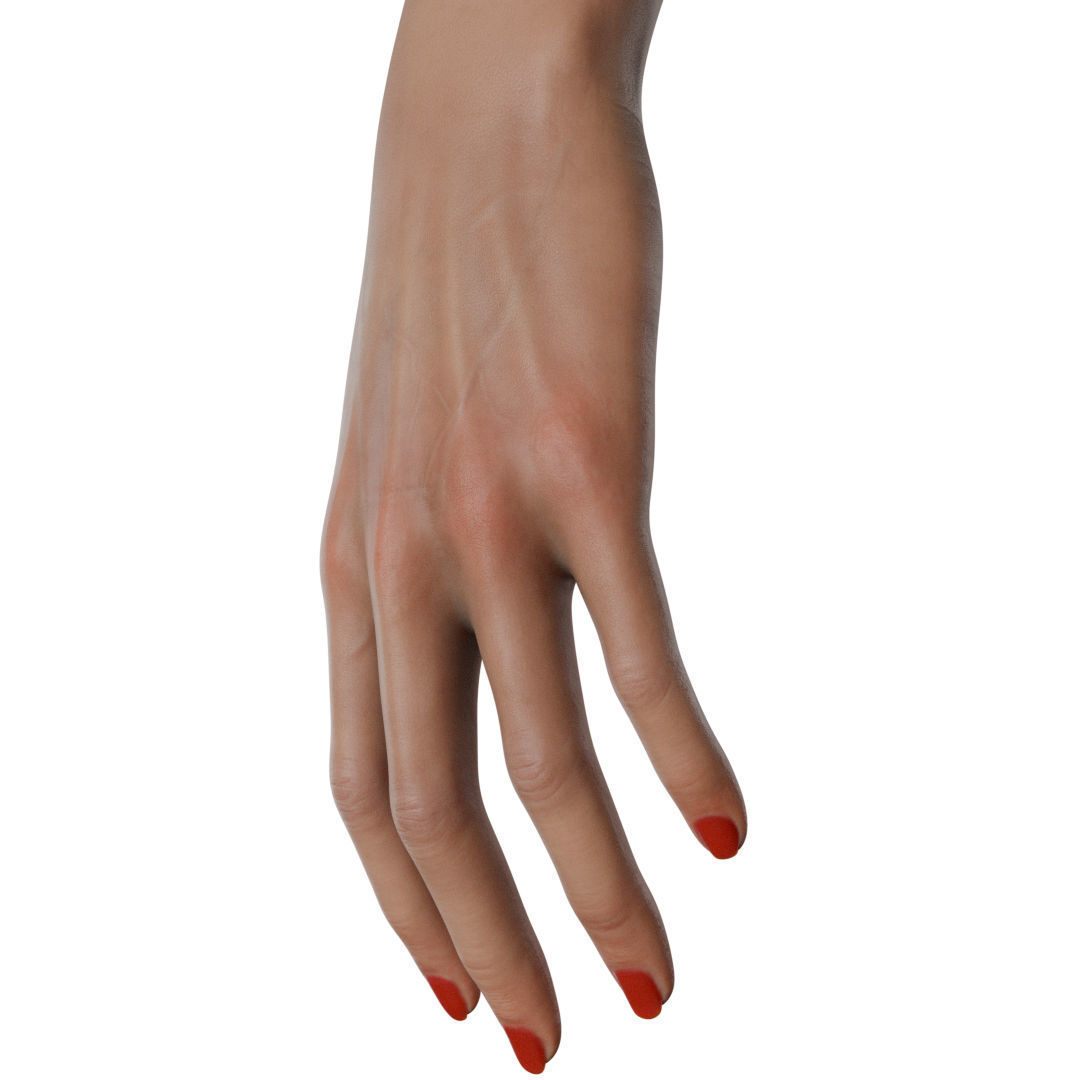 Female Hand Low-poly 3D model_41