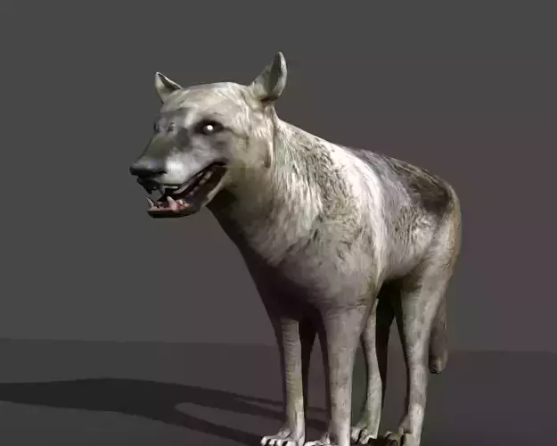 GREY WOLF Low-poly 3D model