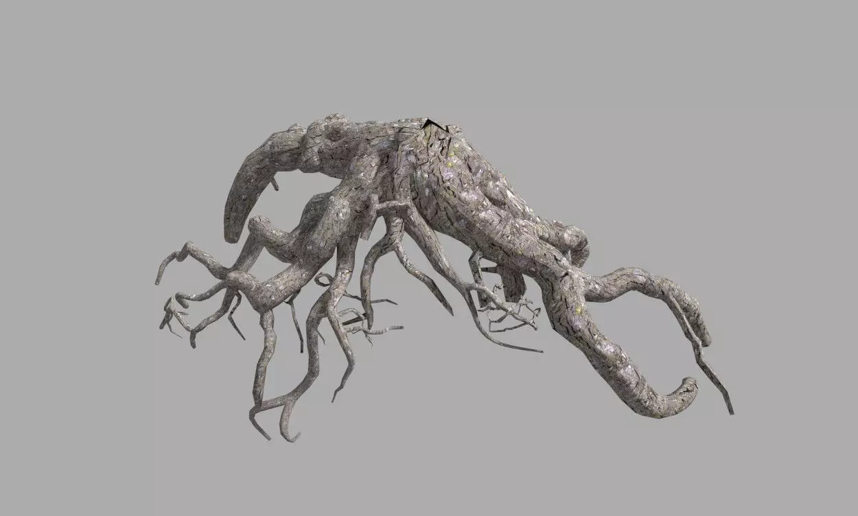 low poly tree root 1 Low-poly 3D model_0