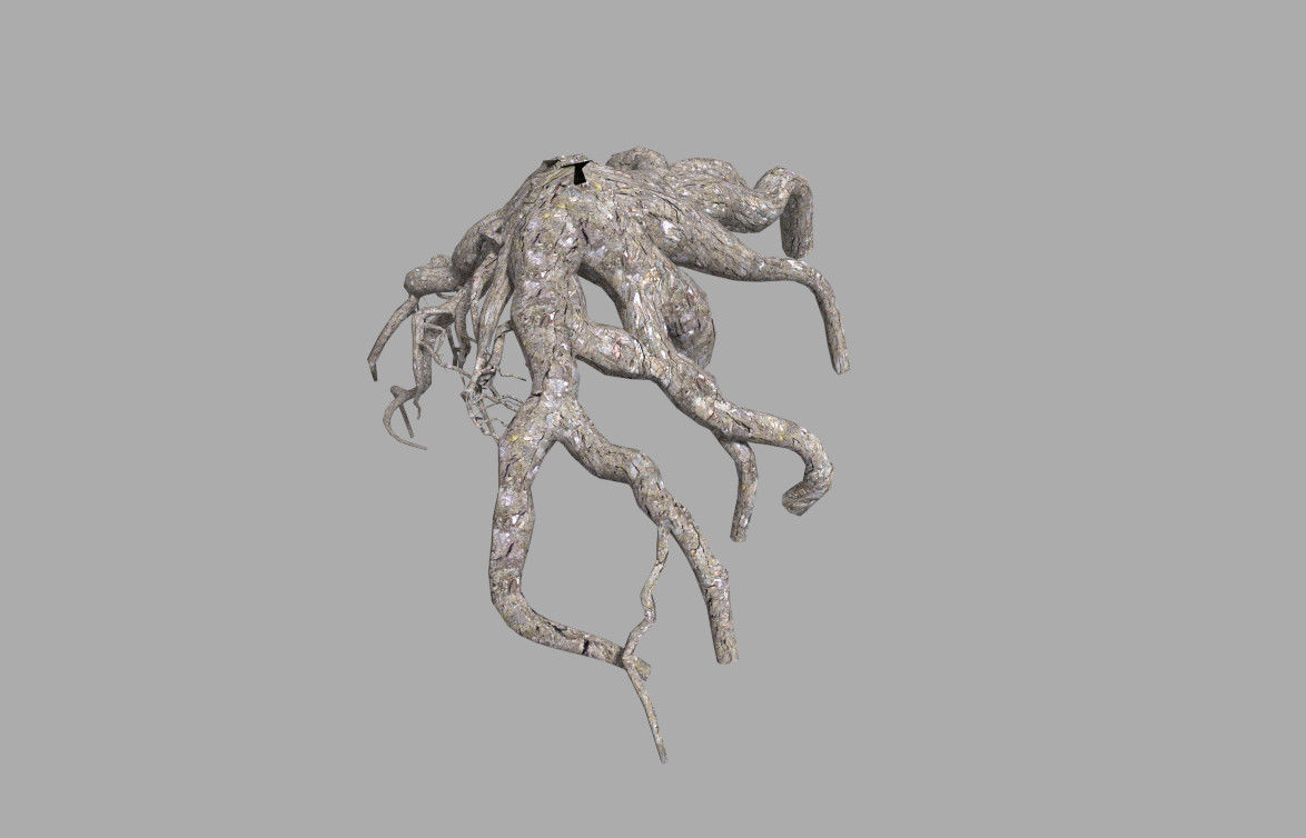 low poly tree root 1 Low-poly 3D model_1