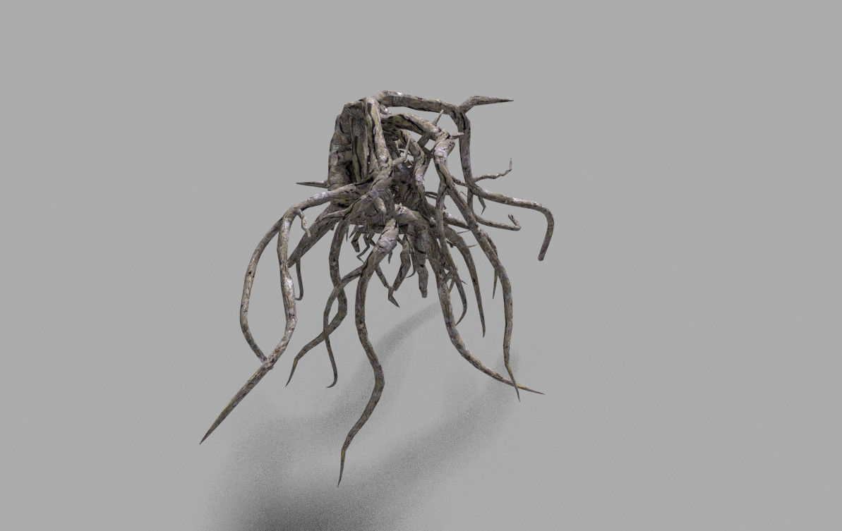 low poly tree root 2 Low-poly 3D model_2