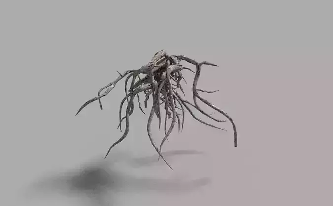 low poly tree root 2 Low-poly 3D model