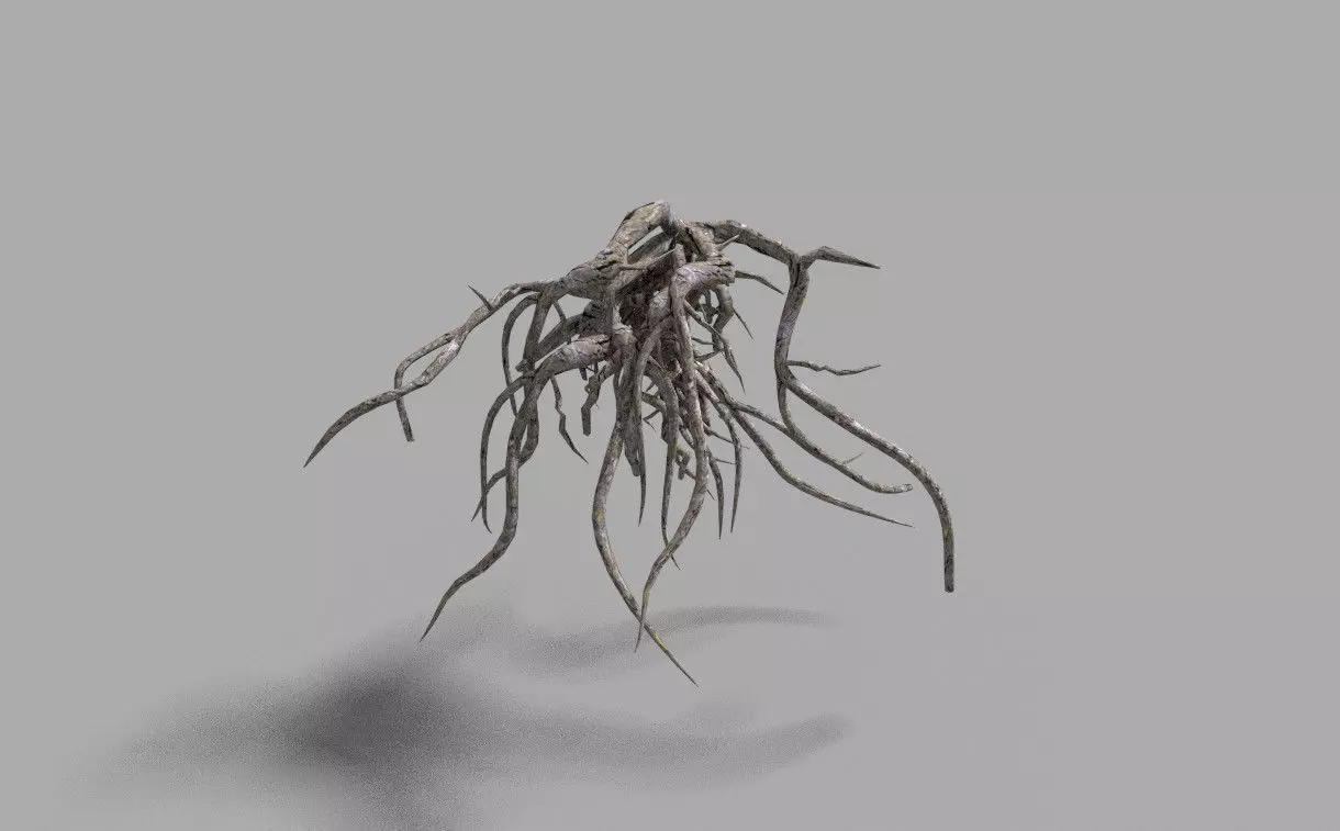 low poly tree root 2 Low-poly 3D model_0