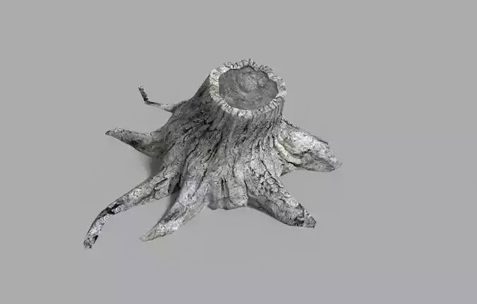 low poly stump 2 tree