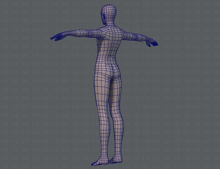 Base mesh man character V04 Low-poly 3D model_14