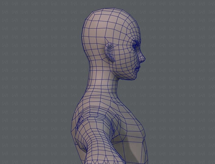 Base mesh man character V04 Low-poly 3D model_27