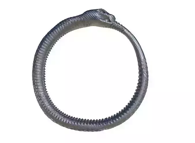 Snake Ring 3D print model