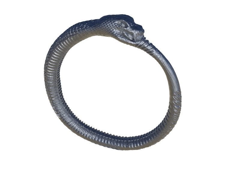 Snake Ring 3D print model_1