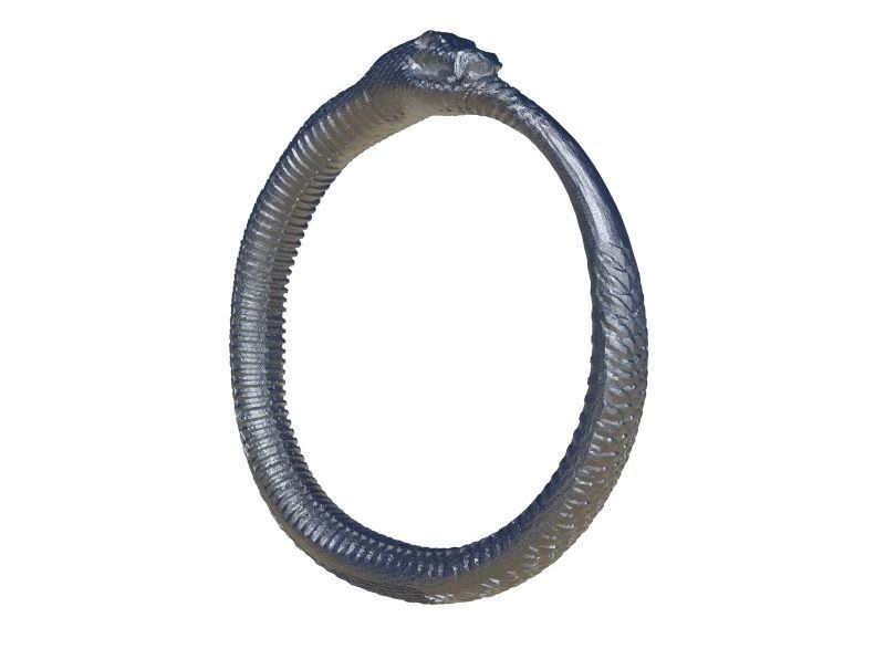Snake Ring 3D print model_2
