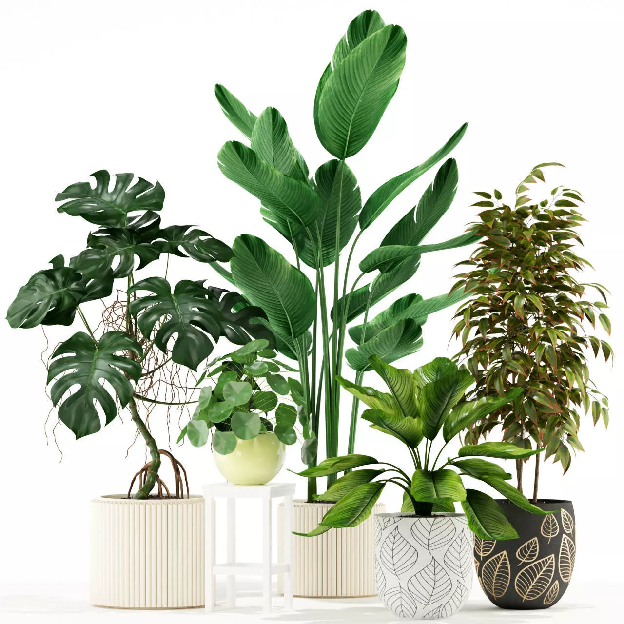 Plants collection 117 3D model_0