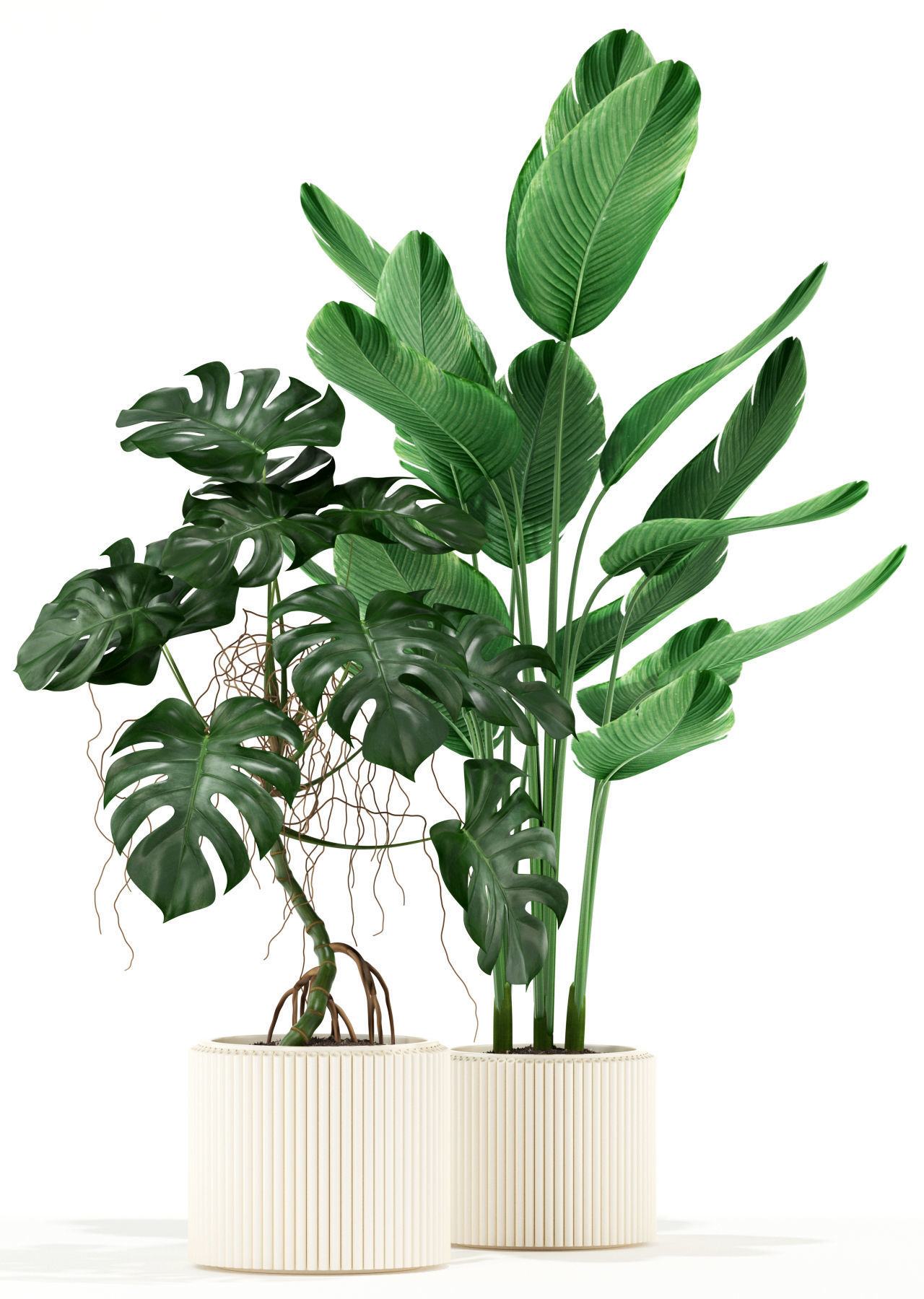 Plants collection 117 3D model_1