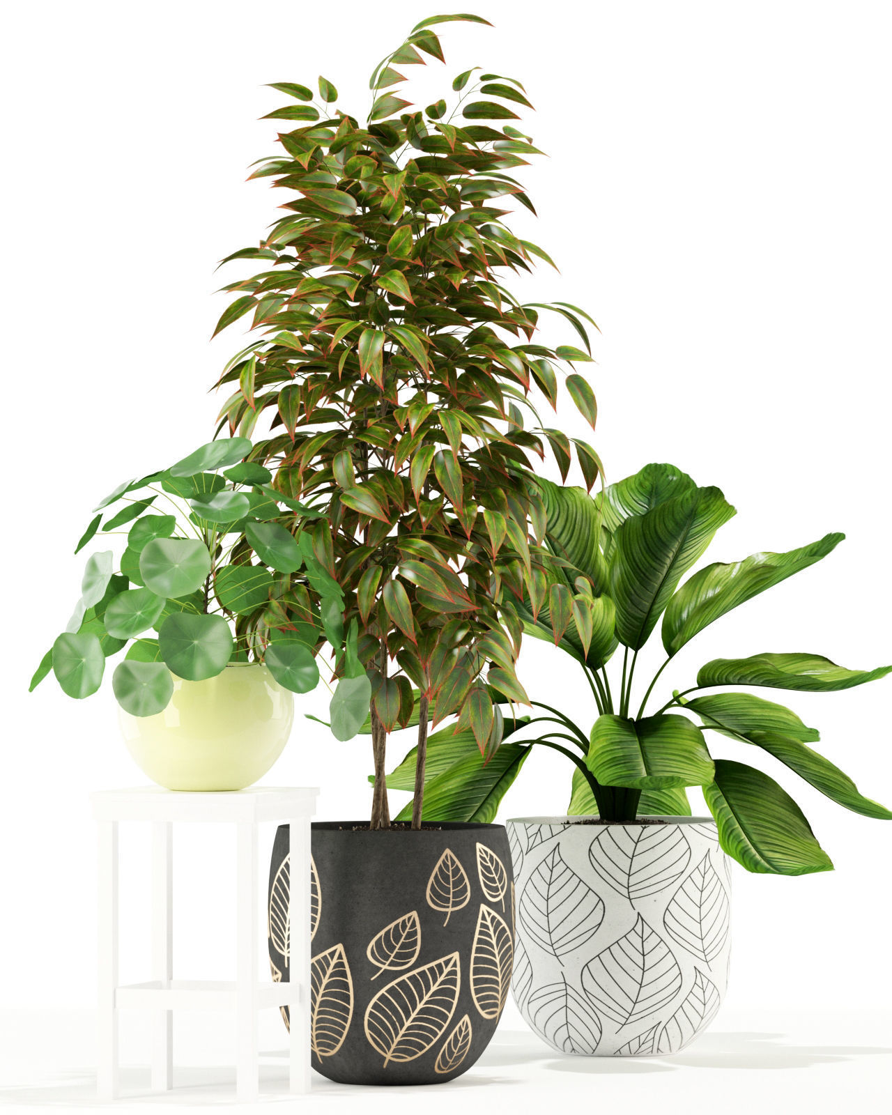 Plants collection 117 3D model_2