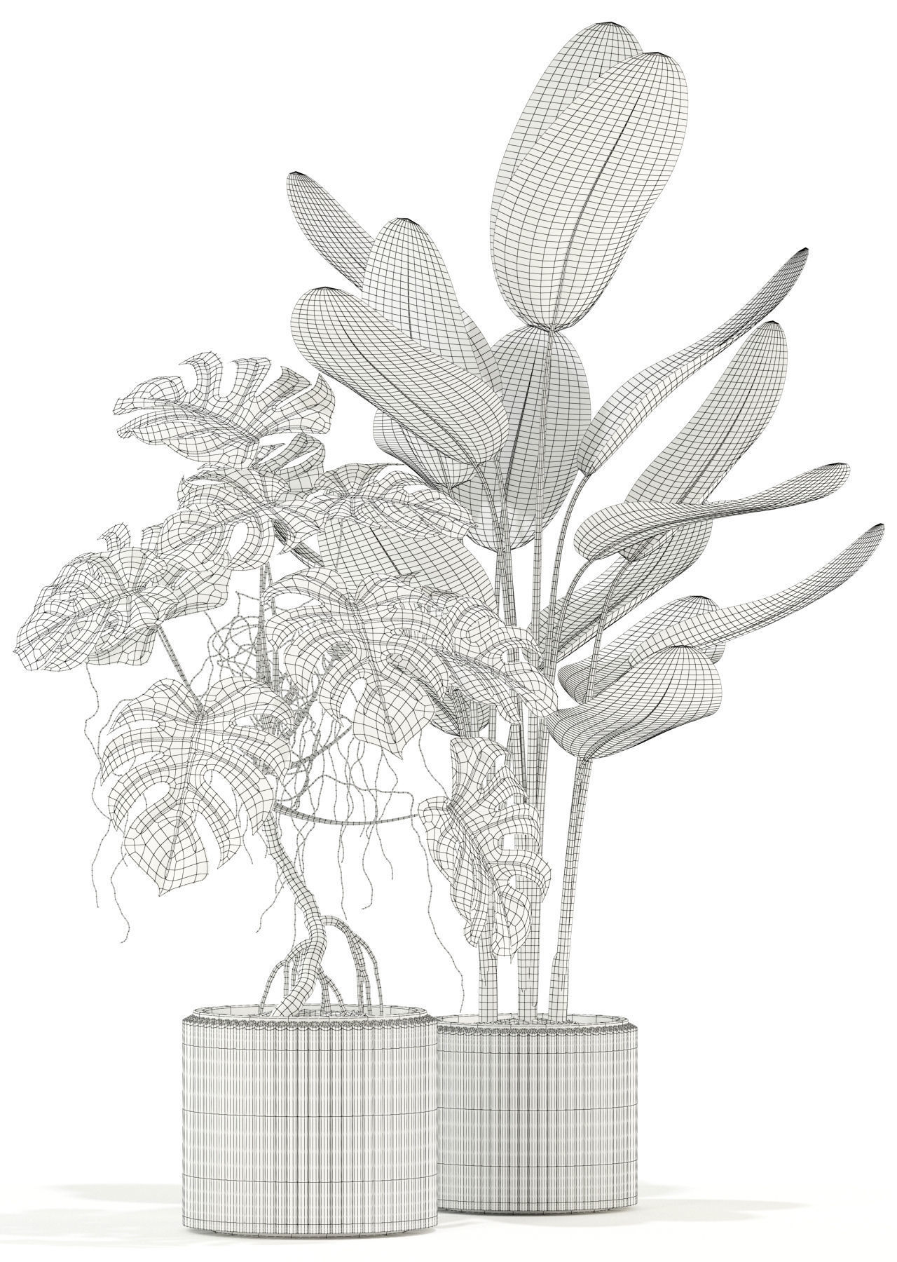 Plants collection 117 3D model_3