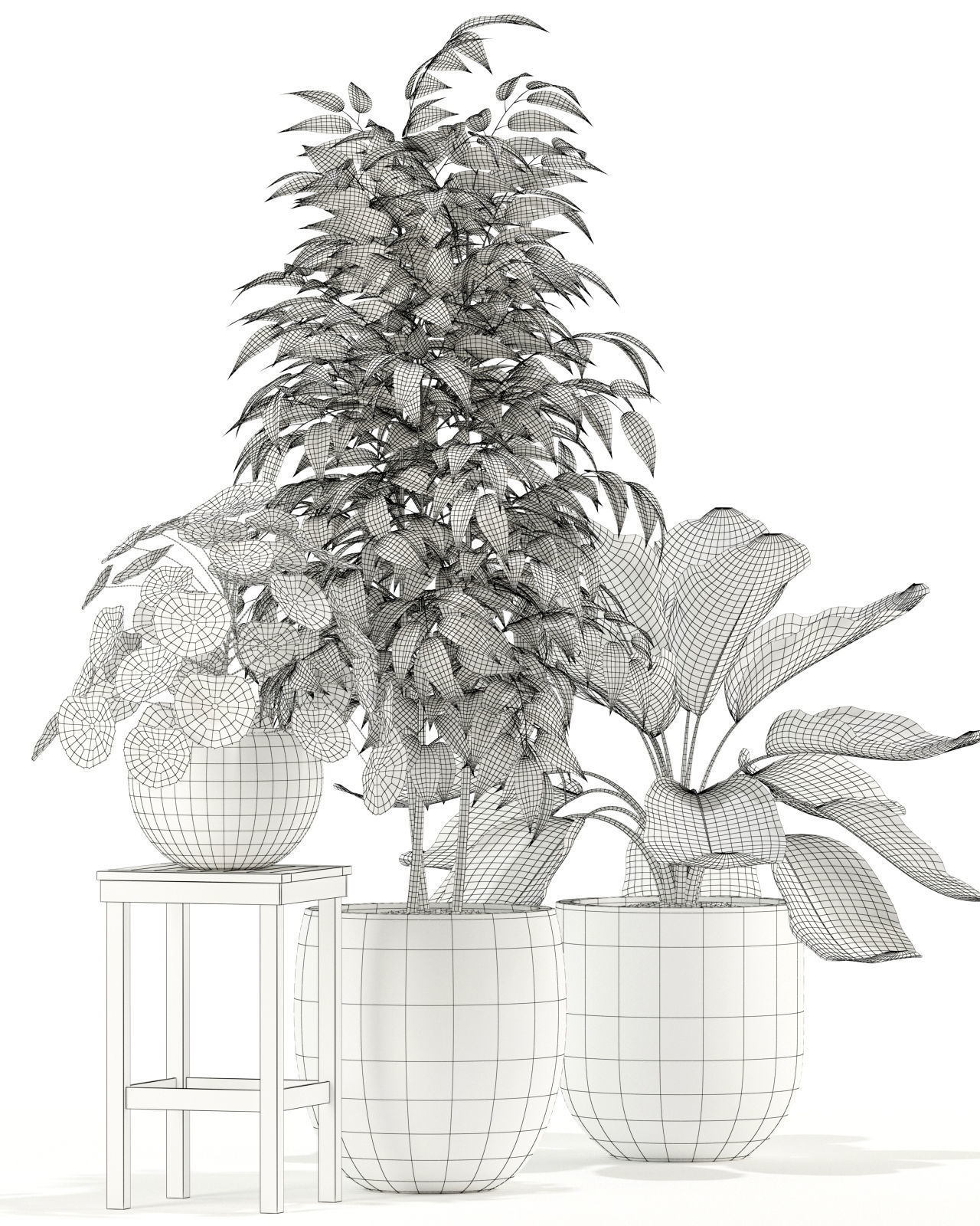 Plants collection 117 3D model_4