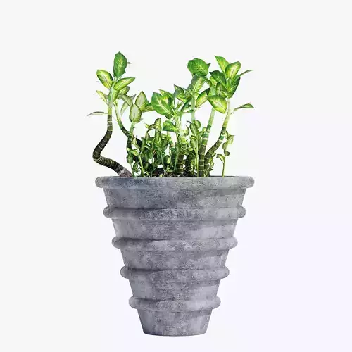 RS-15-1 concrete planter with plants in it