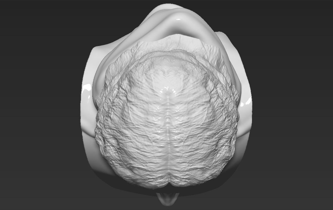 Aragorn bust Lord of the Rings 3D printing ready stl obj formats 3D print model_18