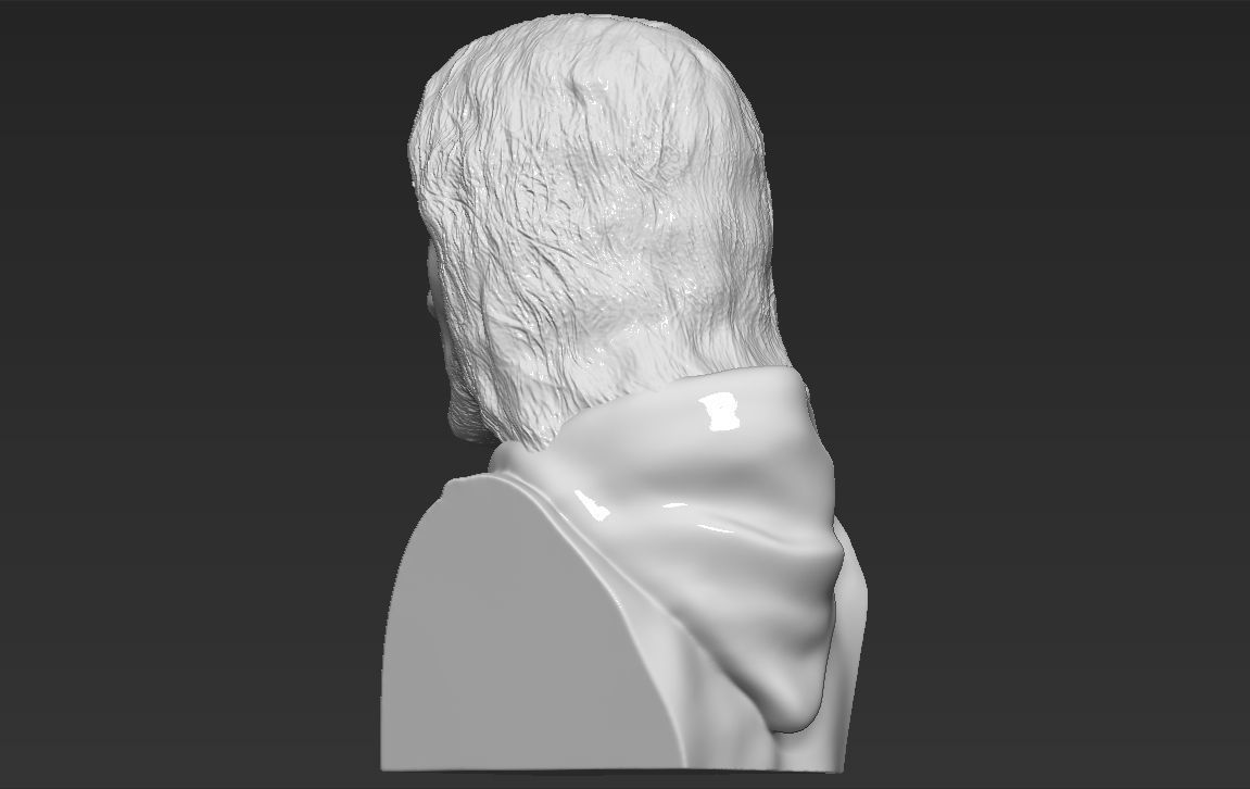 Aragorn bust Lord of the Rings 3D printing ready stl obj formats 3D print model_5