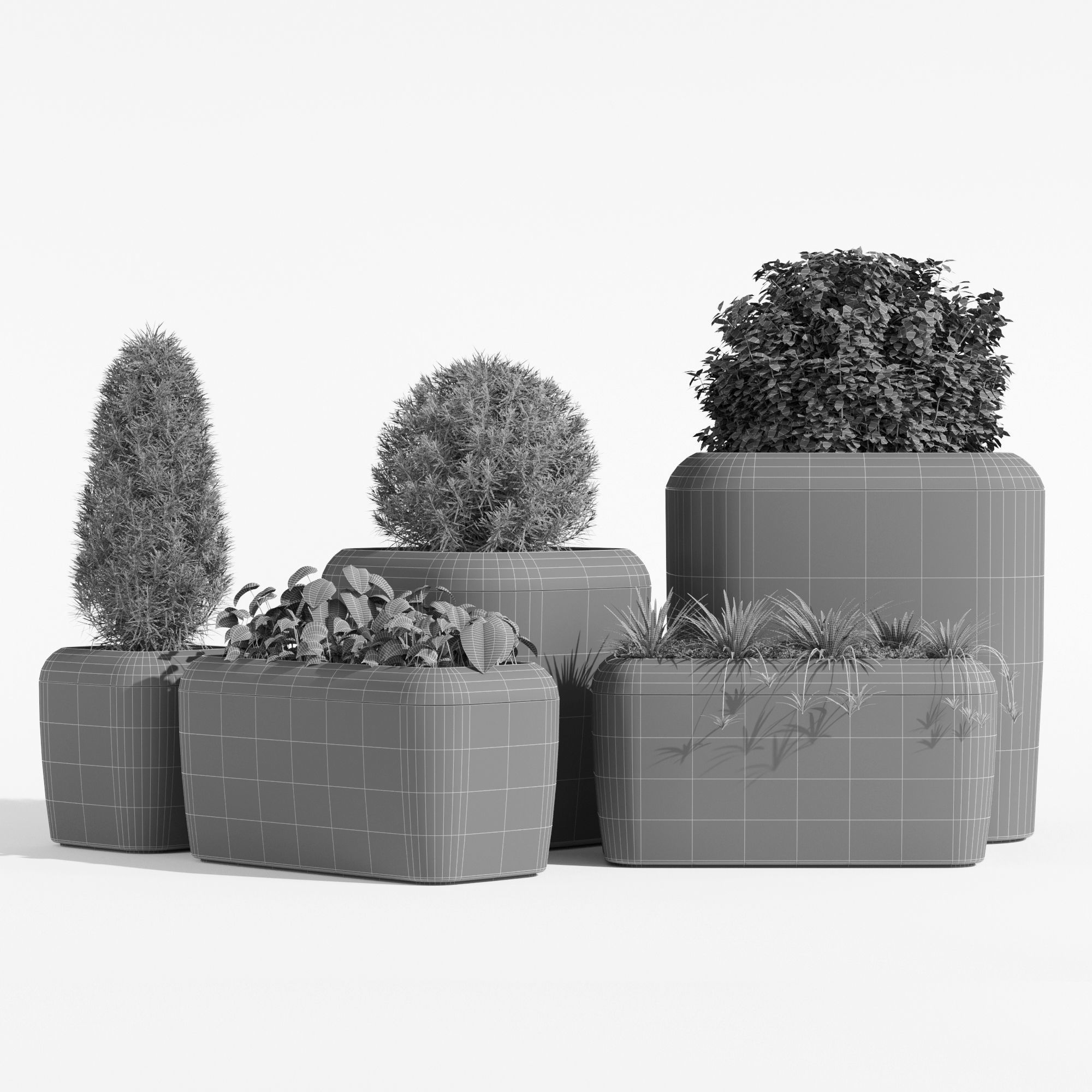 20X20 tree in pot 3D model_4