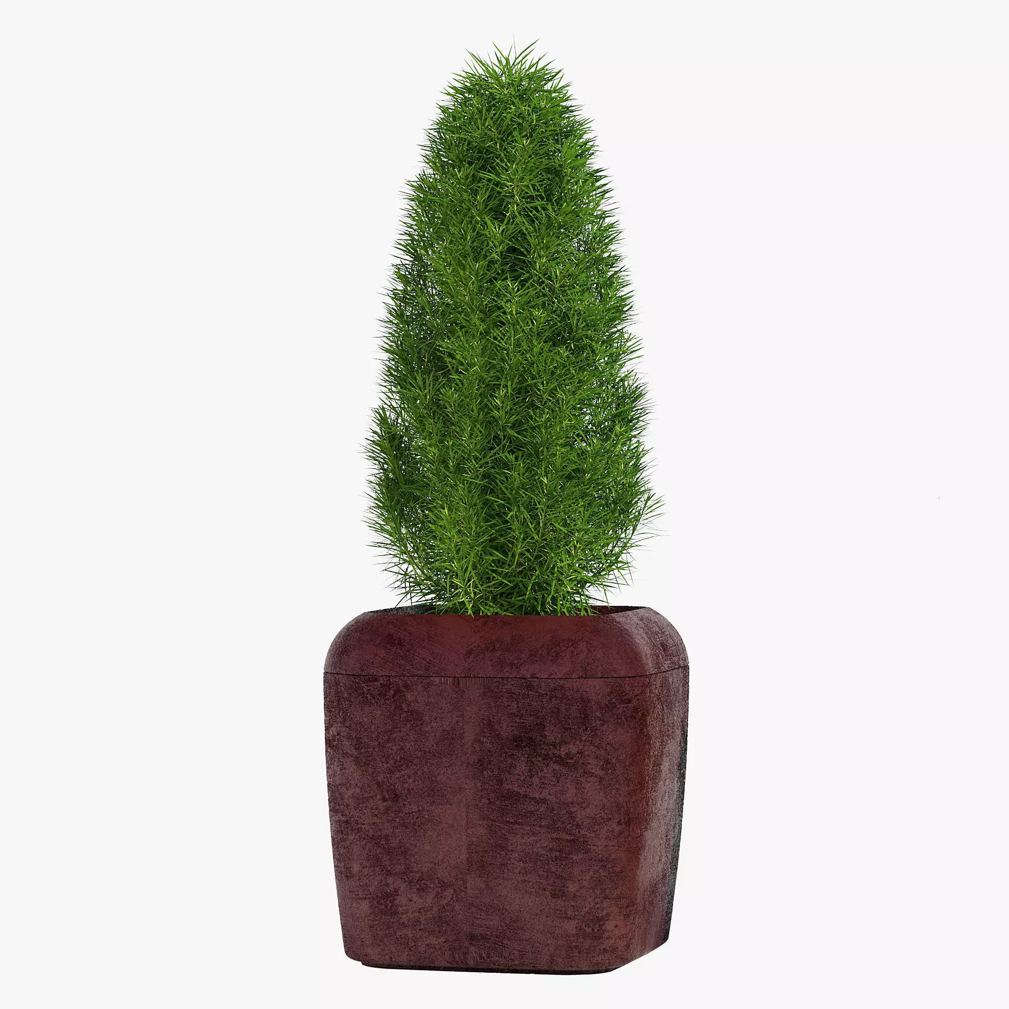 20X20 tree in pot 3D model_0