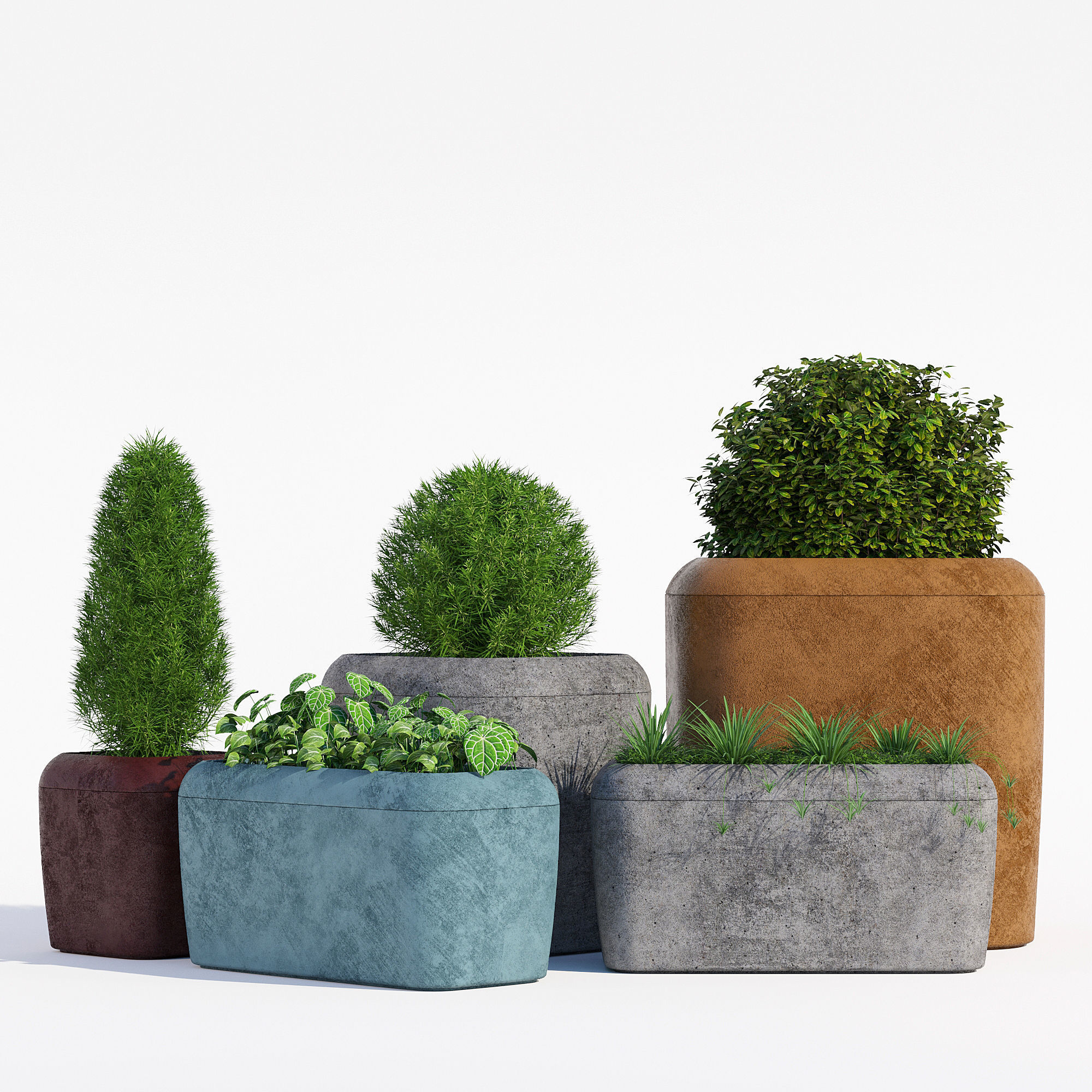 20X20 tree in pot 3D model_1