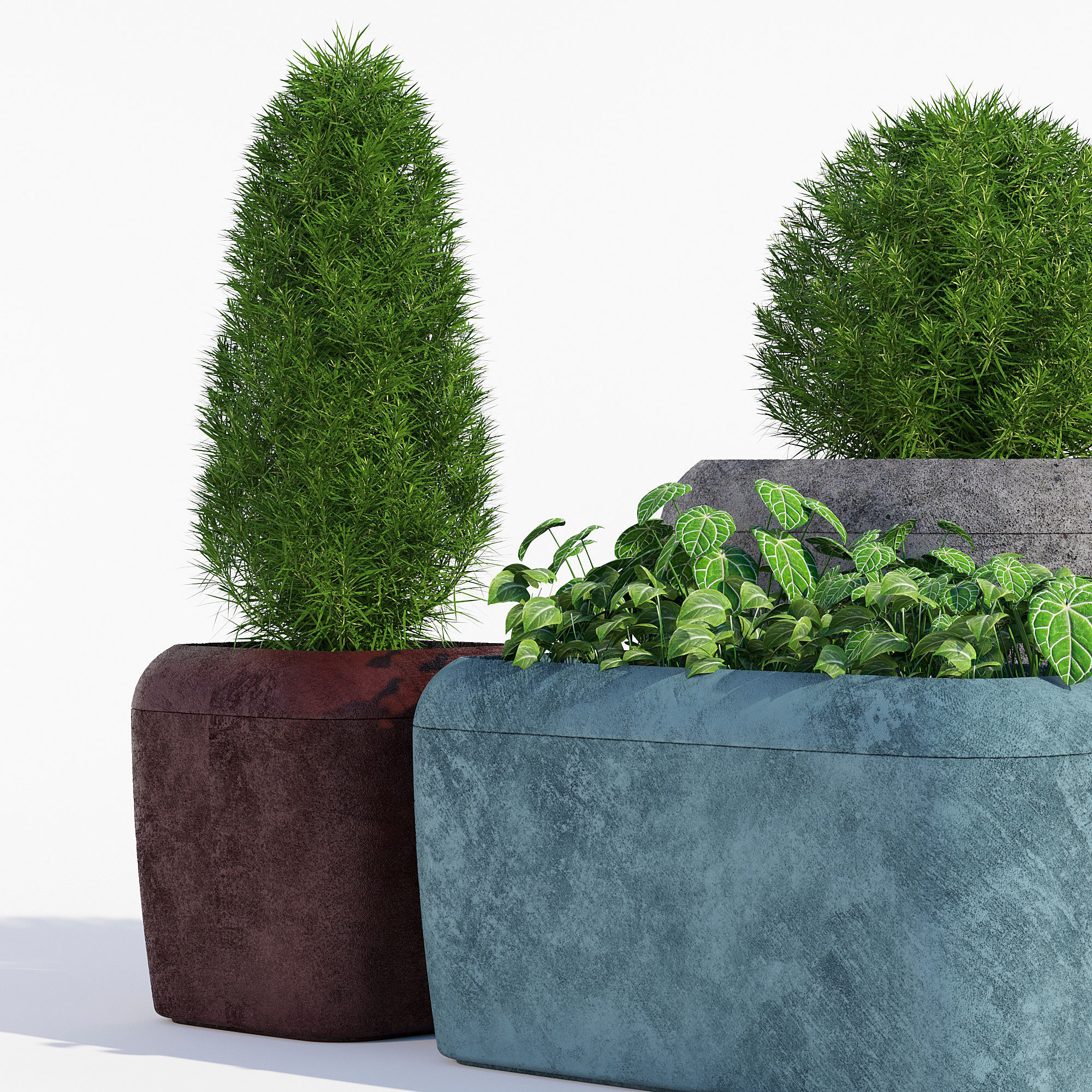20X20 tree in pot 3D model_3