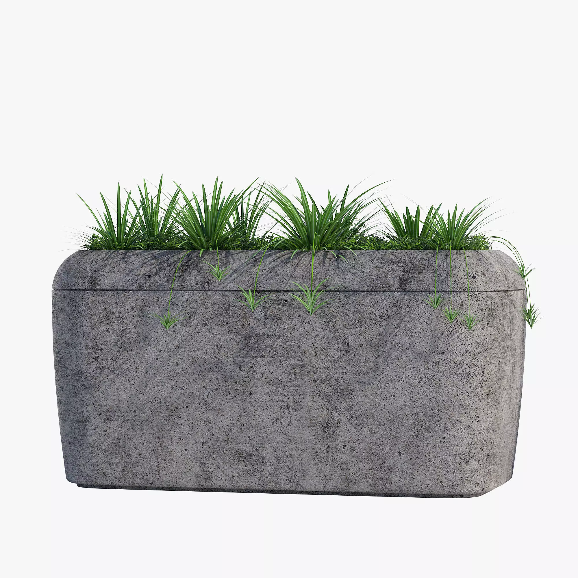20X40X20 2 concrete planter with grass in it 3D model_0
