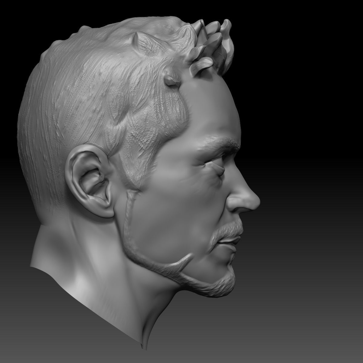 Robert Downey Jr 3D Model Head 3D model_3