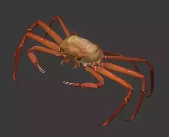 Snow Crab 3D model