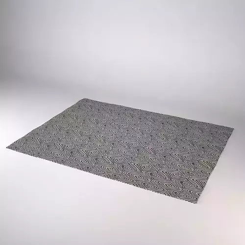 Modern Carpet 