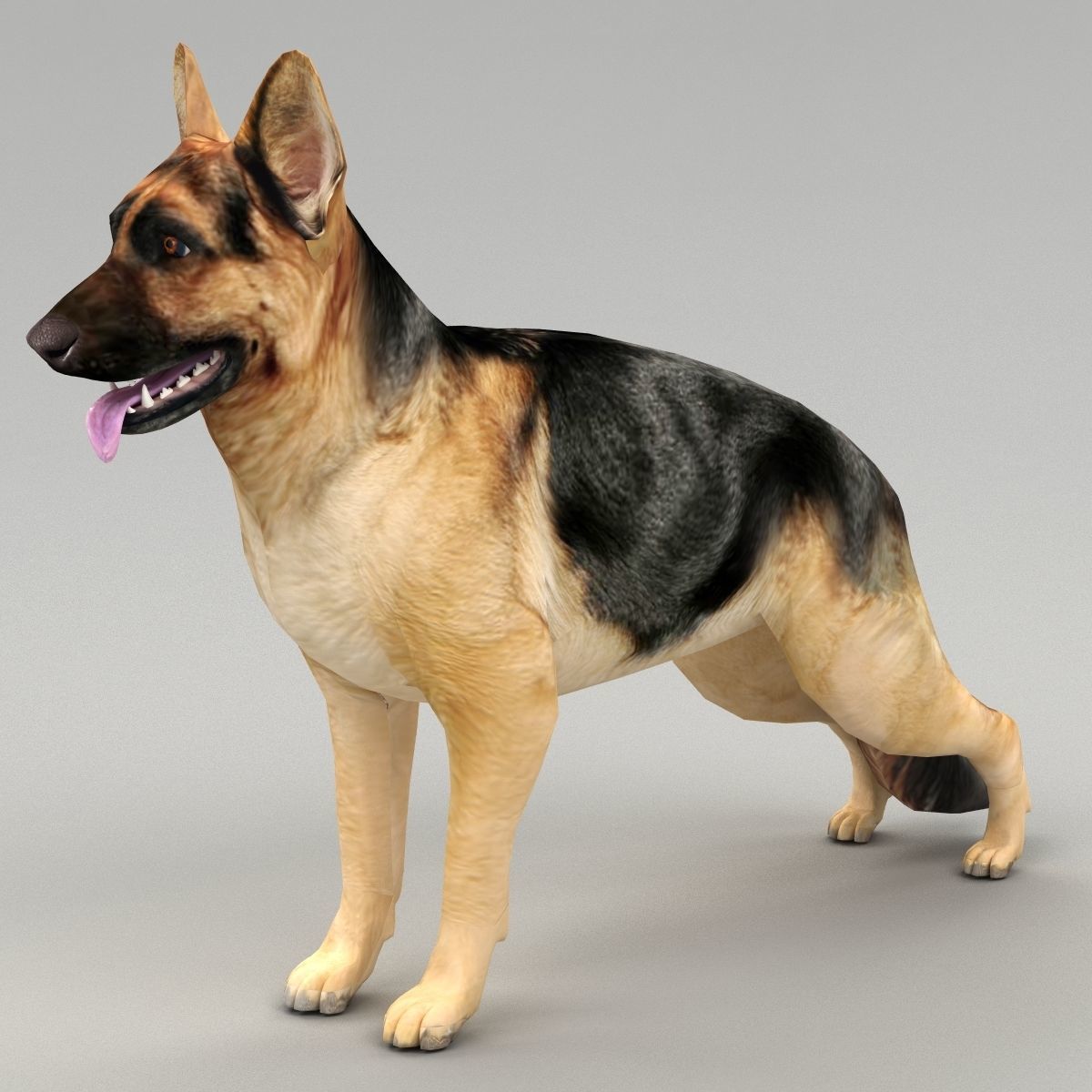 GSD DOG  Low-poly 3D model_4
