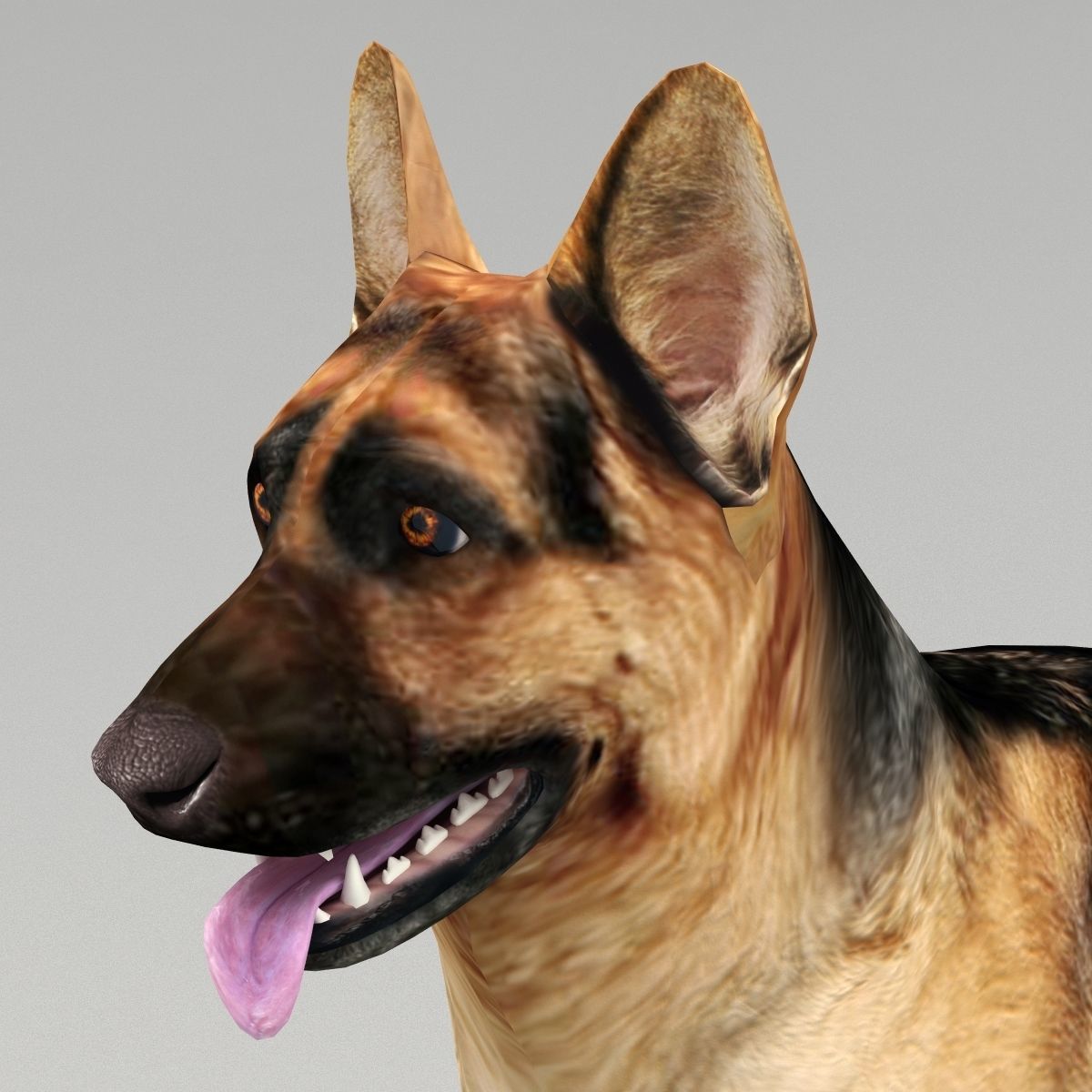 GSD DOG  Low-poly 3D model_1
